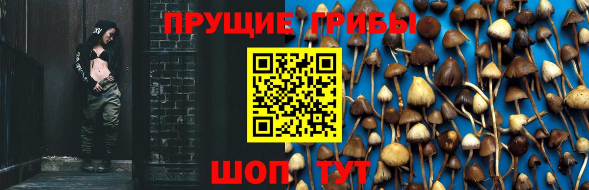 Псилоцибиновые грибы мицелий  что такое   Камень-на-Оби  Вход с VPN 